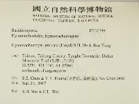 登錄號:F0032389藏品圖，第2張