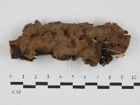 登錄號:F0032389藏品圖，第1張