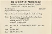 登錄號:F0032389藏品圖，第3張
