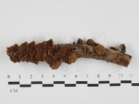 登錄號:F0032390藏品圖，第1張