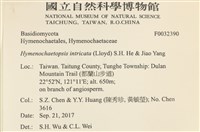 登錄號:F0032390藏品圖，第3張
