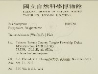 登錄號:F0032391藏品圖，第2張