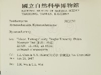 刺革菌屬藏品圖，第2張