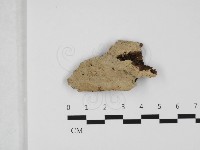 登錄號:F0032393藏品圖，第1張