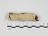 登錄號:F0032394藏品圖，第1張
