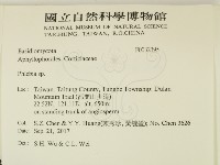 射脈菌屬藏品圖，第2張