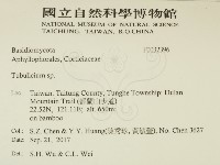 登錄號:F0032396藏品圖，第2張