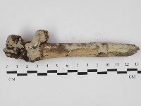 登錄號:F0032396藏品圖，第1張