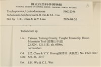 登錄號:F0032396藏品圖，第3張