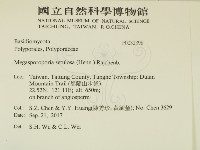 登錄號:F0032398藏品圖，第2張