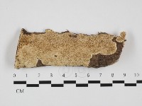 登錄號:F0032398藏品圖，第1張