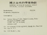 登錄號:F0032399藏品圖，第2張
