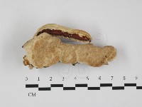 登錄號:F0032400藏品圖，第1張