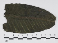 登錄號:F0032401藏品圖，第1張