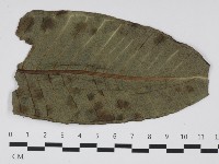登錄號:F0032401藏品圖，第3張