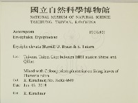 登錄號:F0032402藏品圖，第2張