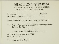 登錄號:F0032405藏品圖，第2張