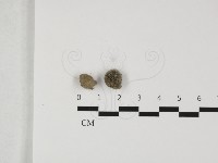 登錄號:F0032406藏品圖，第3張