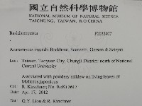 登錄號:F0032407藏品圖，第2張