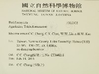 登錄號:F0032408藏品圖，第2張