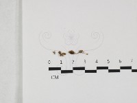 登錄號:F0032412藏品圖，第1張