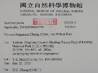 登錄號:F0032415藏品圖，第2張