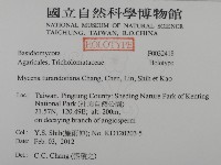 登錄號:F0032418藏品圖，第2張