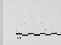 登錄號:F0032418藏品圖，第1張