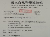 登錄號:F0032419藏品圖，第2張