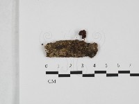 登錄號:F0032420藏品圖，第1張