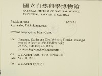登錄號:F0032424藏品圖，第2張