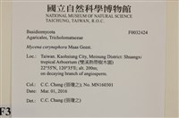 登錄號:F0032424藏品圖，第3張
