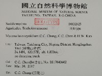 登錄號:F0032425藏品圖，第2張