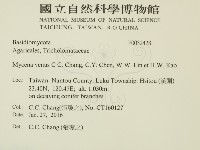 登錄號:F0032428藏品圖，第2張