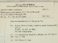 登錄號:F0032429藏品圖，第2張