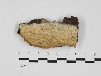 登錄號:F0032429藏品圖，第1張