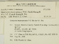 登錄號:F0032430藏品圖，第2張