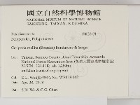 登錄號:F0032431藏品圖，第2張