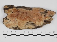 登錄號:F0032431藏品圖，第1張
