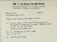 登錄號:F0032432藏品圖，第2張