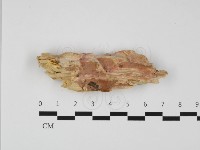 登錄號:F0032432藏品圖，第1張