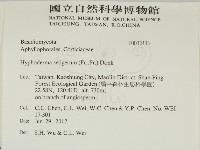 剛毛絲皮菌藏品圖，第2張