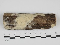 登錄號:F0032434藏品圖，第1張