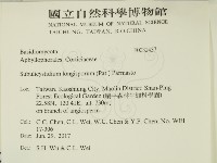 登錄號:F0032437藏品圖，第2張