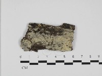 登錄號:F0032437藏品圖，第1張