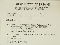 登錄號:F0032439藏品圖，第2張