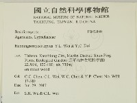 登錄號:F0032440藏品圖，第2張