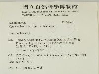 刺革菌屬藏品圖，第2張