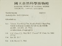 登錄號:F0032444藏品圖，第2張
