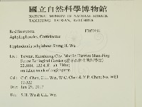 登錄號:F0032448藏品圖，第2張